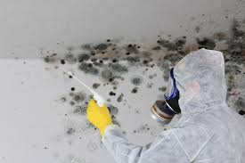 Best HVAC Mold Inspection and Cleaning  in Bevil Oaks, TX